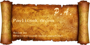 Pavlicsek Anina névjegykártya